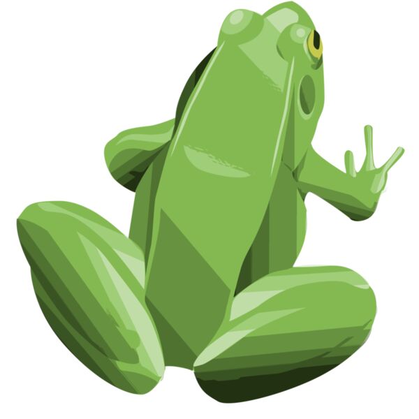 Frog 2 Thumbnail