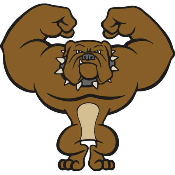 bulldogmsct2 Thumbnail