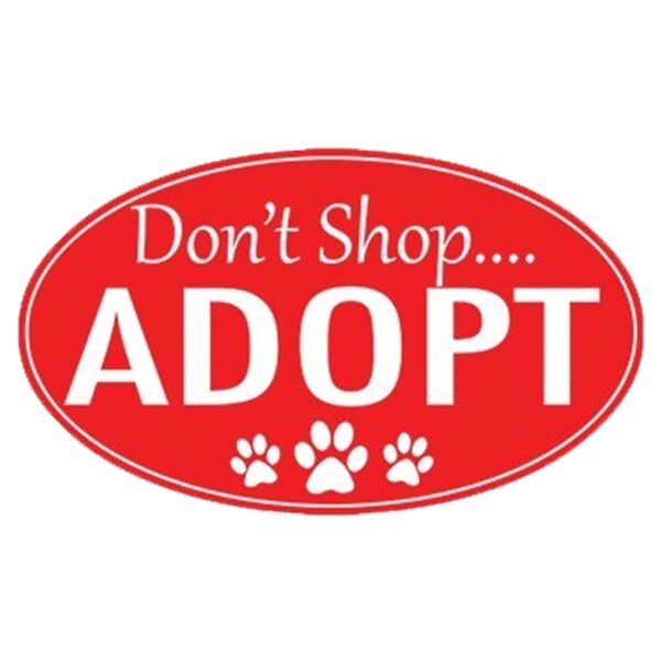 Adopt Don t Shop Thumbnail