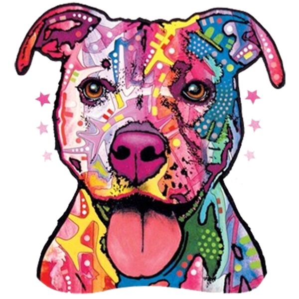 Colorful Pitbul Thumbnail