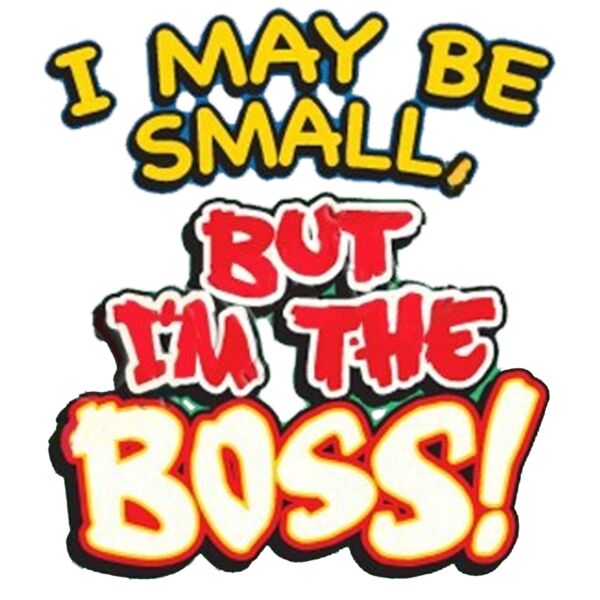 I m The Boss Thumbnail