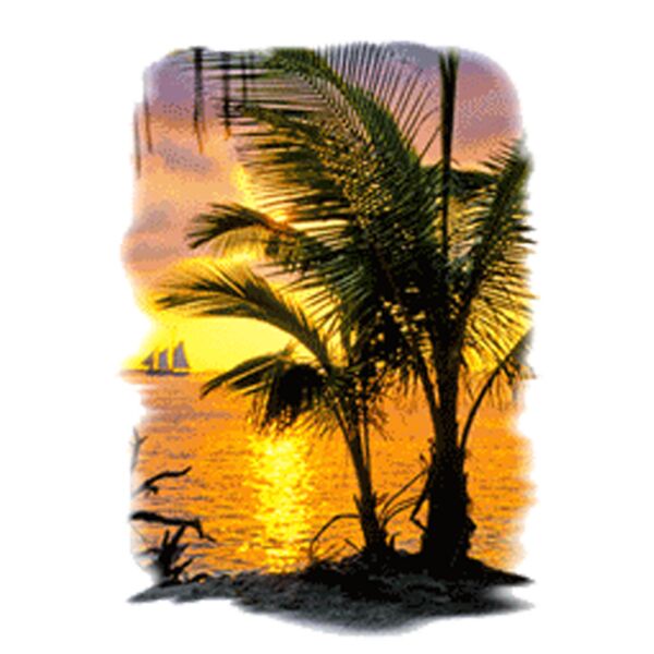 The Beach 1 Thumbnail