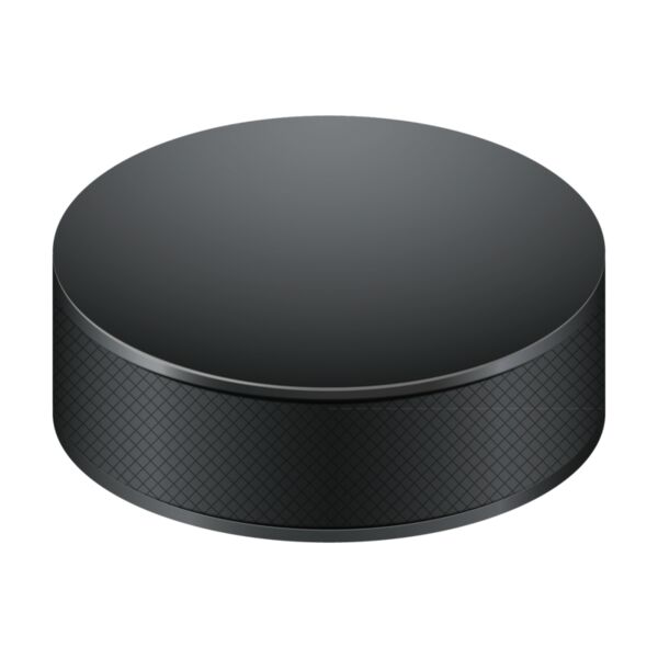 Hockey Puck Thumbnail