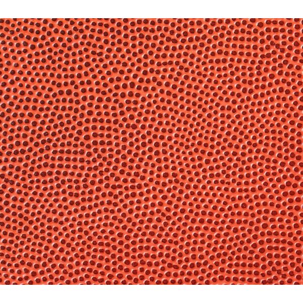 Basketball 1 Thumbnail