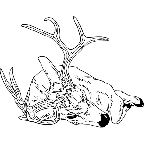 Deer Hunting7 Thumbnail