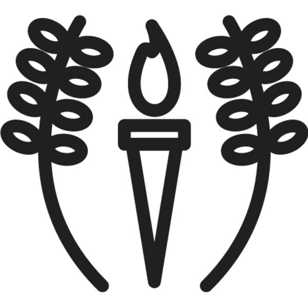 Olympic Torch1 Thumbnail