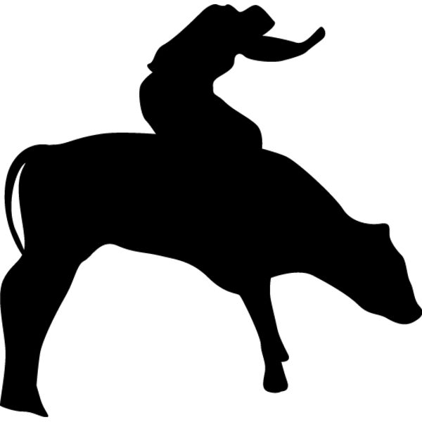 Bull Rider5 Thumbnail