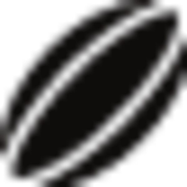 Rugby Ball1 Thumbnail