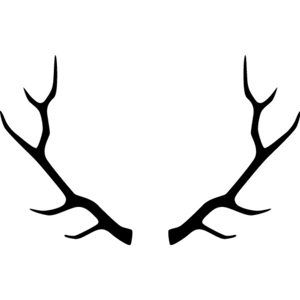 Deer Rack4 Thumbnail