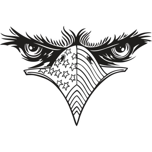 USA Eagle2 Thumbnail