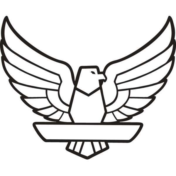 USA Eagle5 Thumbnail