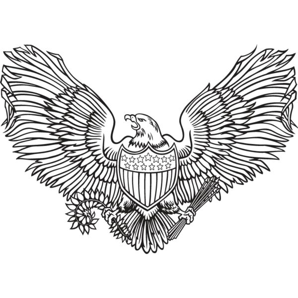 USA Eagle1 Thumbnail