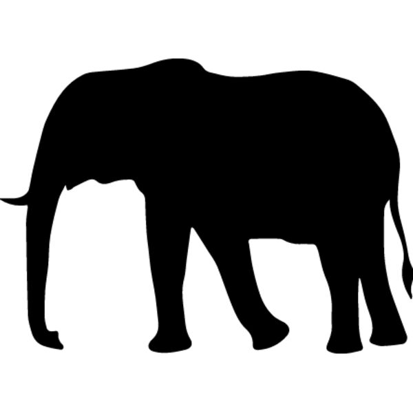 Elephant5 Thumbnail