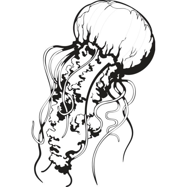 Jellyfish1 Thumbnail