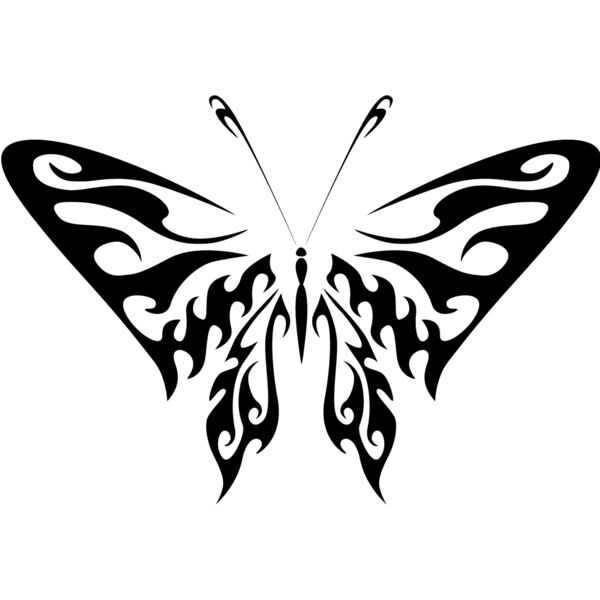 Butterfly4 Thumbnail