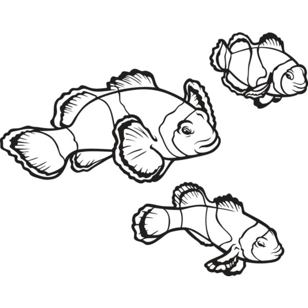 Clownfish Thumbnail