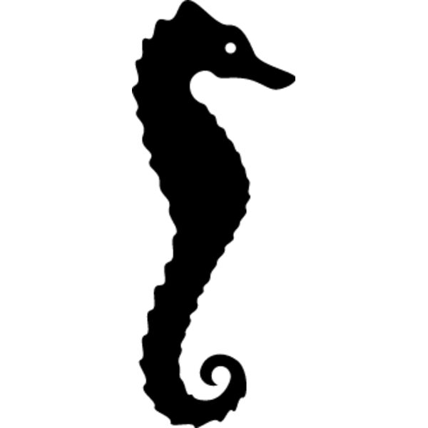 Seahorse3 Thumbnail