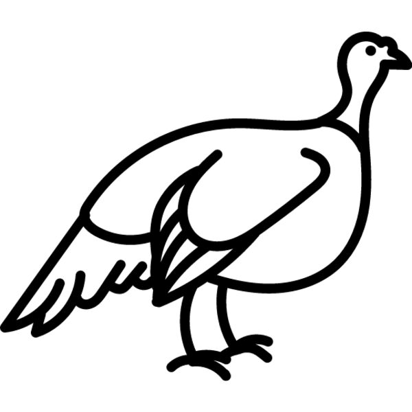 Wild Turkey Line 2 Thumbnail