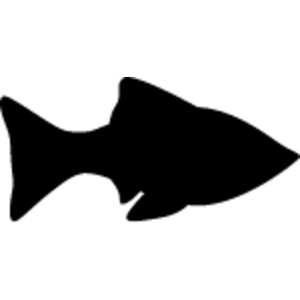 Fish Silhouette5 Thumbnail