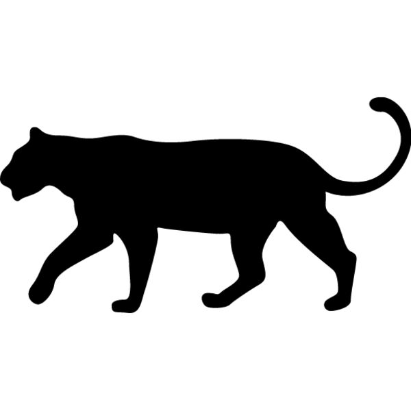 Big Cat  Tiger  Lion  Panther 5 Thumbnail