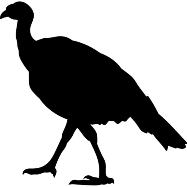 Wild Turkey8 Thumbnail