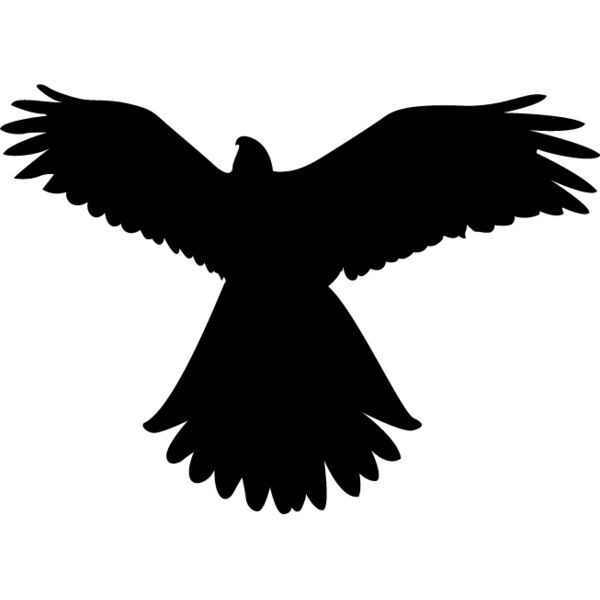 Bird Silhouette12 Thumbnail