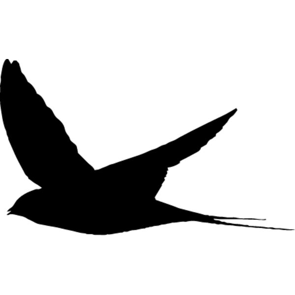 Bird Silhouette4 Thumbnail