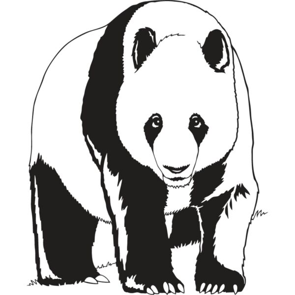 Panda Bear1 Thumbnail