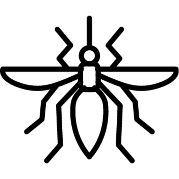 Flying Insect line 5 Thumbnail