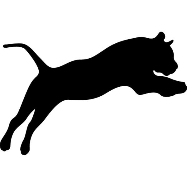 Big Cat  Tiger  Lion  Panther 6 Thumbnail