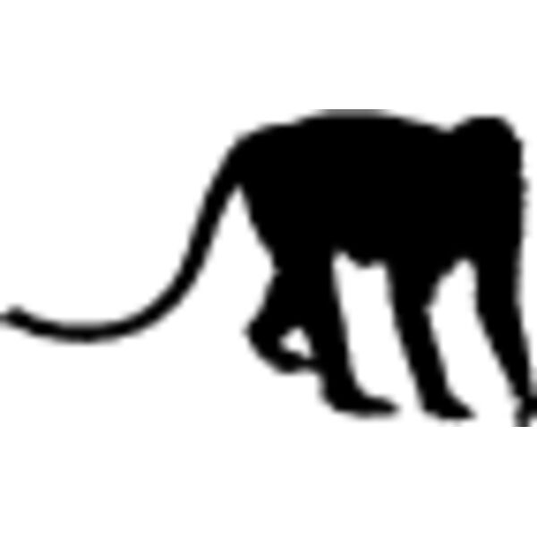 Monkey Silhouette13 Thumbnail
