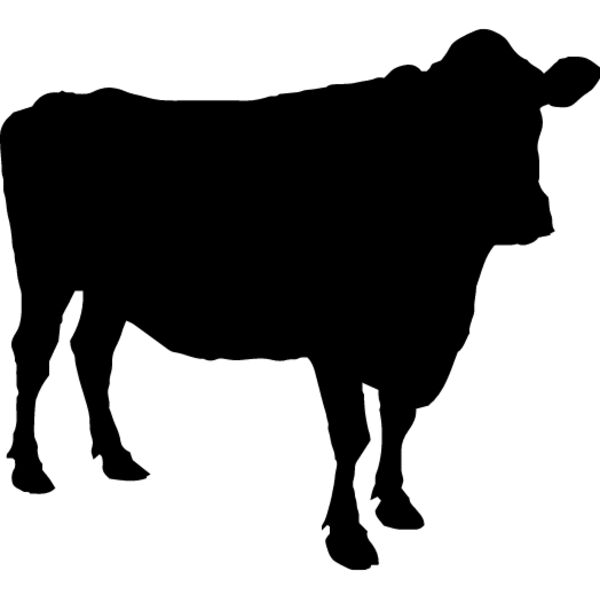 Cow9 Thumbnail