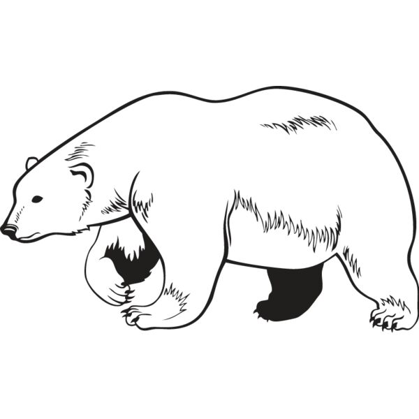 Polar Bear Thumbnail