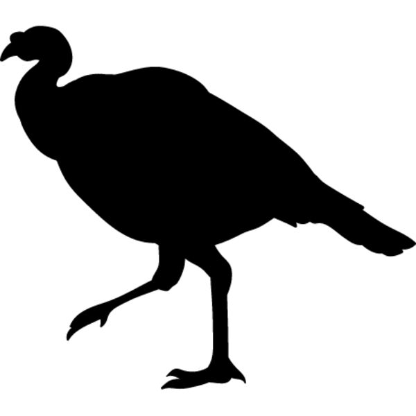 Wild Turkey3 Thumbnail