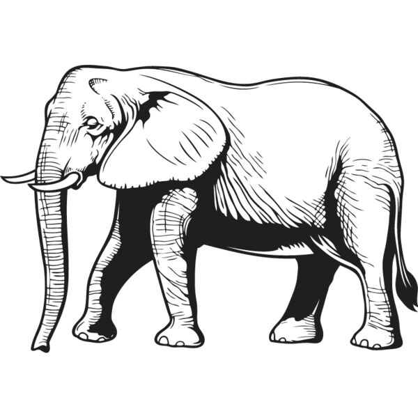 Elephant2 Thumbnail