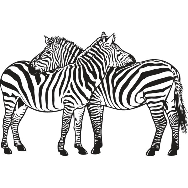 Zebra2 Thumbnail