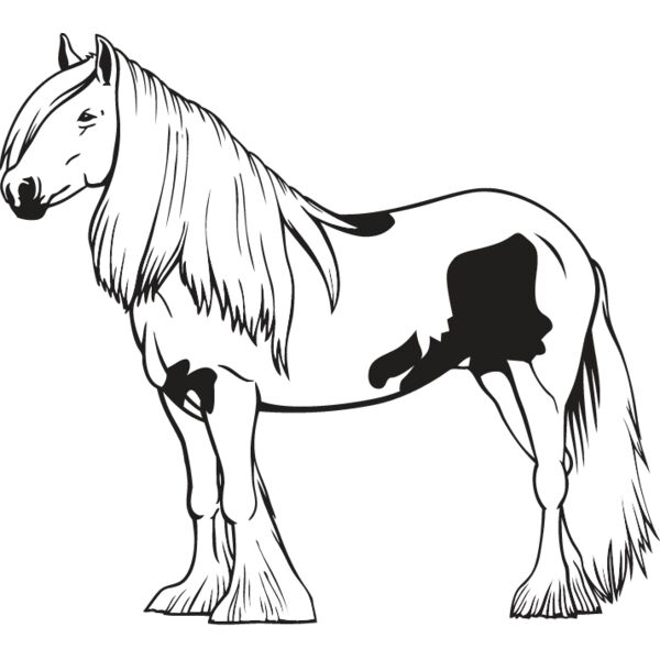 Horse8 Thumbnail