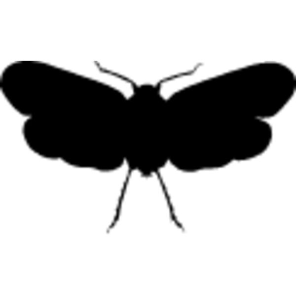 Flying Insect5 Thumbnail