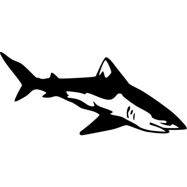 Shark1 Thumbnail