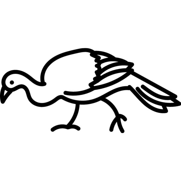 Wild Turkey Line 1 Thumbnail