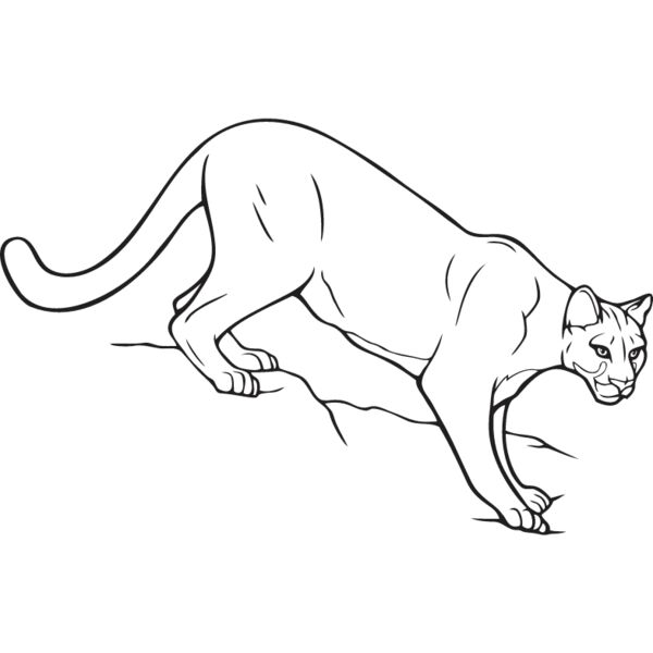 Mountain Lion Thumbnail