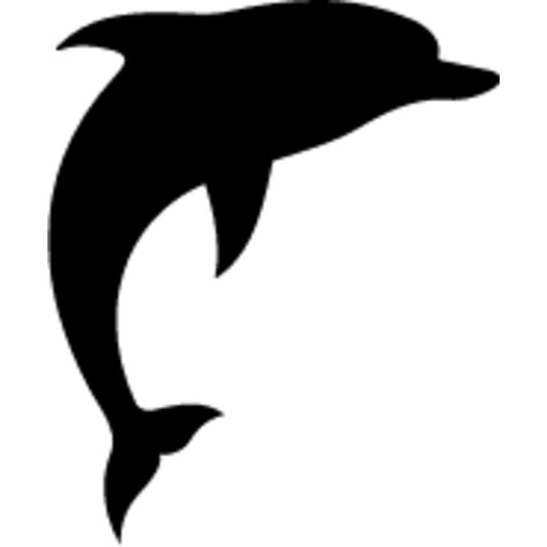 Dolphin8 Thumbnail