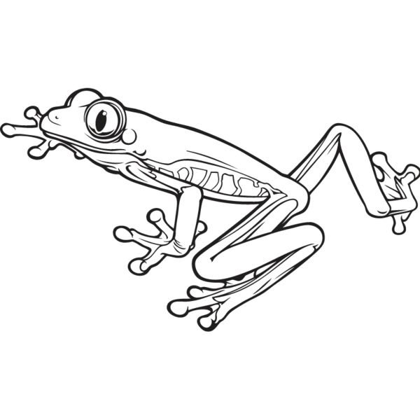 Frog2 Thumbnail