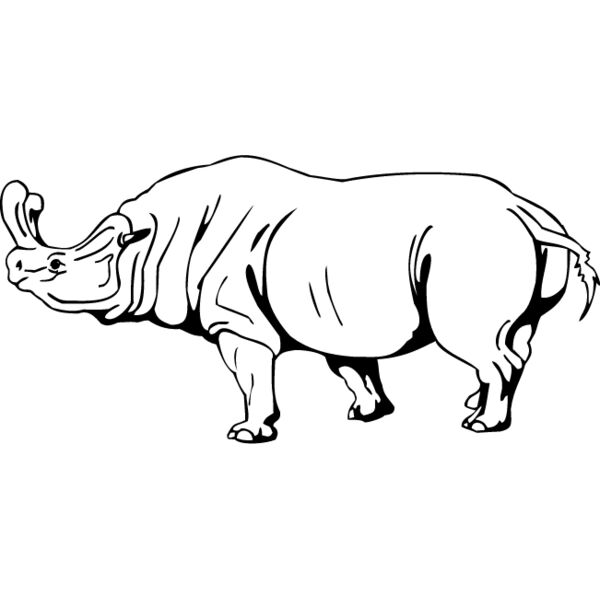 Megacerops Thumbnail