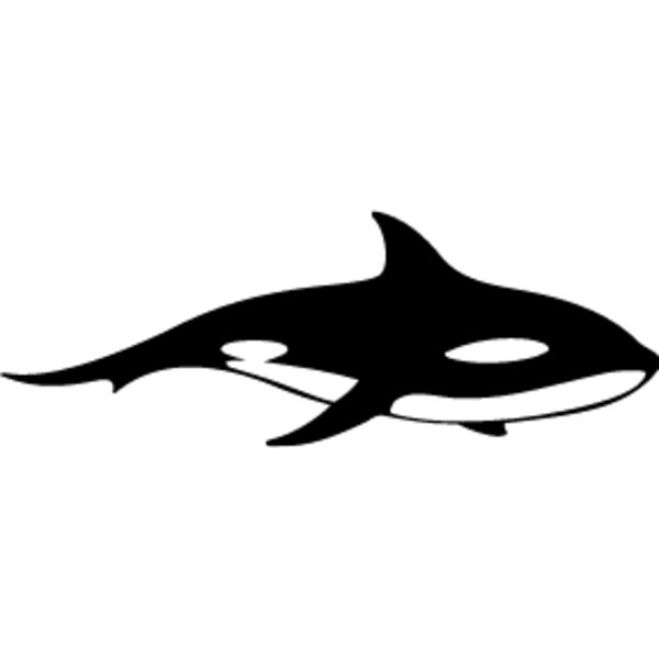 Killer Whale2 Thumbnail