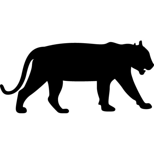 Big Cat  Tiger  Lion  Panther 1 Thumbnail