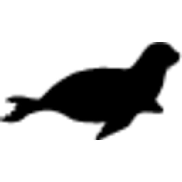 Seal Thumbnail