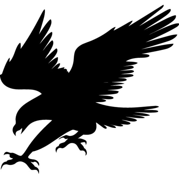 Flying Eagle Silhouette1 Thumbnail