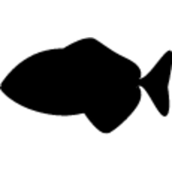 Fish Silhouette7 Thumbnail