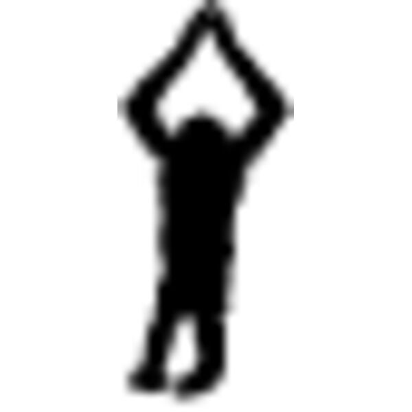 Monkey Silhouette9 Thumbnail